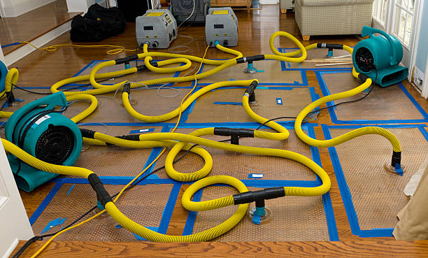 Professional Storm Water Damage Restoration technician working in Maynardville, TN